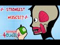 What Is the Strongest MUSCLE in Your Body? 💪 | Science for Kids | @OperationOuch