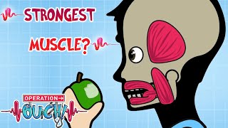 What Is the Strongest MUSCLE in Your Body? 💪 | Science for Kids | @OperationOuch