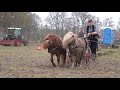 Ploegdag Hoeve Groot Zandbrink te Leusden 2019