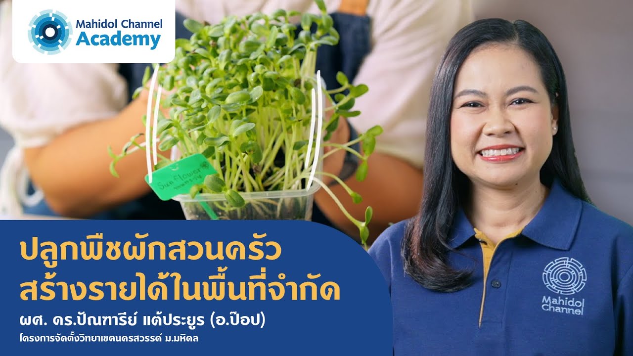 ปลูกพืชผักสวนครัว สร้างรายได้ในพื้นที่จำกัด | Mahidol Channel Academy