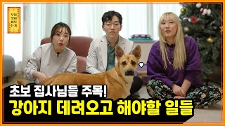예씨, 짜장이와 함께하는 무엇이든 물어보개 | 무보개 EP.04-1