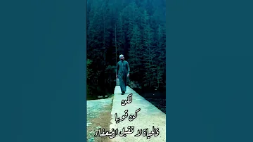 كن قويا لأن الحياة لا تقبل الضعفاء الشيخ محمود الحسنات حالات واتس اب قصيرة دينية 