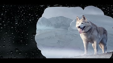 Scratch Effects  Using wScratchPad.js Plugin | Html5 CSS3 & jQuery