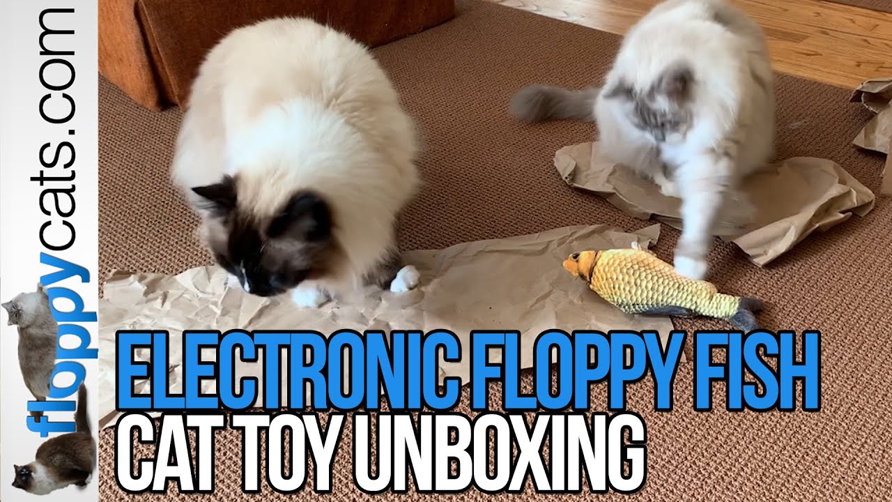 Flapping Fish Cat Toy - Floppy Fish Electronic Cat Toy Unboxing - YouTube