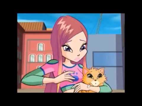 Wizard Roxy Wizards of The Black Circle and Roxy - YouTube