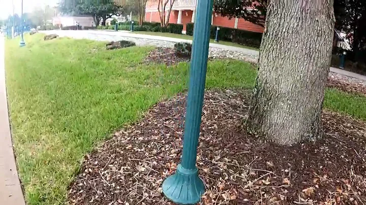 Walk from Hollywood Studios to EPCOT