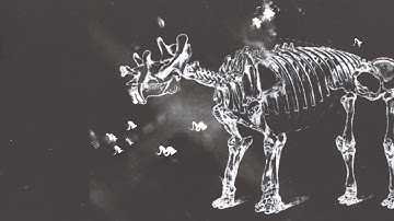 Telvrichaos - Stronger (Single)