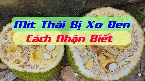 Cách nhận biết Mít Thái bị xơ đen | Nguyên nhân, cách phòng và hạn chế Mít bị xơ đen | AHuy Vlogs