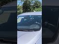 гроза птиц  делает свою работу 😉