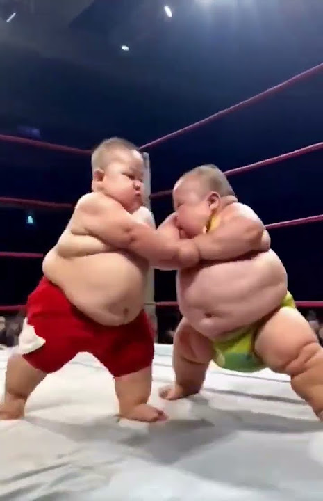 Junior Sumo Wrestling - #shorts #youtubeshorts #Sumo