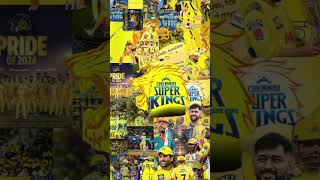 MS Dhoni coming picture current place middle