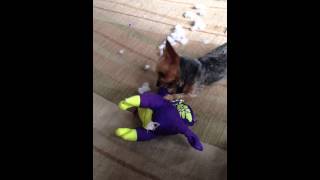 Dog humping dog toy cute