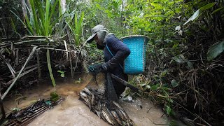 Download Lagu 5 HARI 4 MALAM BERBURU IKAN DI MUSIM KEMARAU, PANEN IKAN SUNGAI BESAR \u0026 IKAN RAWA YANG TURUN.. 🇮🇩 MP3 Download Lagu 5 HARI 4 MALAM BERBURU IKAN DI MUSIM KEMARAU, PANEN IKAN SUNGAI BESAR \u0026 IKAN RAWA YANG TURUN.. 🇮🇩 MP3