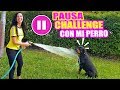 PAUSE CHALLENGE CON MI PERRO 😂 24 HORAS JUGANDO EL RETO DE LA PAUSA 😱 Sandra Cires Art y Karim