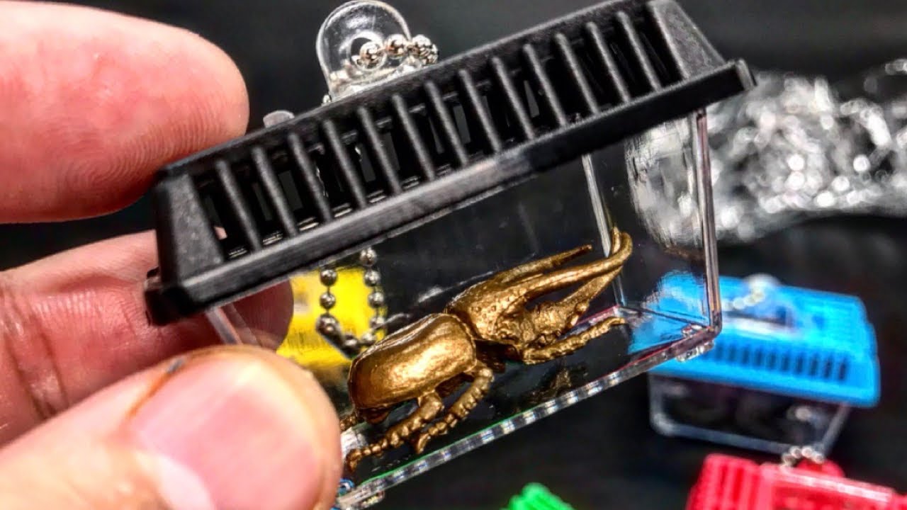 ガチャガチャ 昆虫入り虫かごが超かっこいい レアゴールドもあり 全種類開封レビュー カブトムシ Youtube