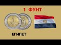 Монета 1 Египетский ФУНТ. Обзор.