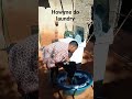 Washing Amazing Funnyvideos Shortvideos Shorts Short Viral Video Subscribe Fyp Fun Family Washing Amazing Funnyvideos Shortvideos Shorts Short Viral Video Subscribe Fyp Fun Family