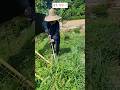장마가 끝나면 풀과의 전쟁 ㅠㅠ #장마 #잡초작업 #주말농장