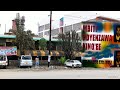 Mundu Nundu Simba2 Royal Tavern Productions 