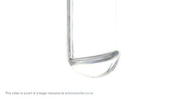 Cation I: Add 2 drops NaOH