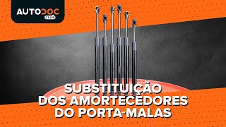 Substituição Mola pneumática compartimento de carga : manual técnico