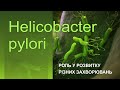 Майстер - клас. Нова роль H.pylori у розвитку коморбідної патології.