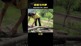 單身燕子制作櫥柜，和小花一起收竹筍，加工竹筍 #荒野求生 #荒野独居 #求生挑战 #生存挑战 #荒野