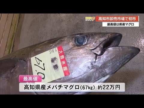 威勢よく初競り！高知市卸売市場で《初市》最高値は県産マグロ【高知】 (24/01/05 18:00)