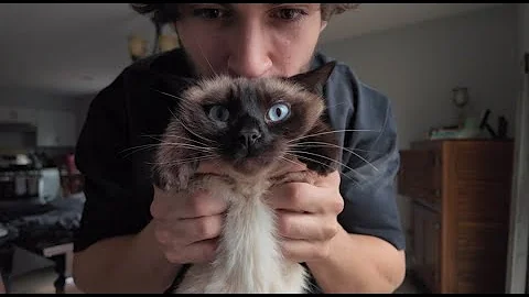 YOUNGLA BLACK FRIDAY TRY ON | HI YOUTUBE?