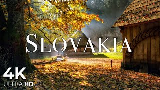 Slovakia 4K Meditation Relaxation Film - Morning Piano Music - Relaxation Film 4K