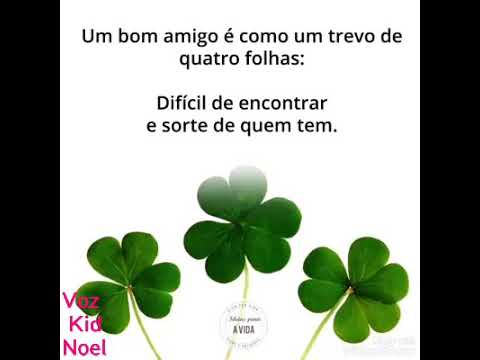 Oi meu amor e carinho, - YouTube