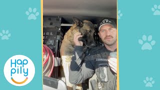 K9 Gets Final Radio Call For His Retirement