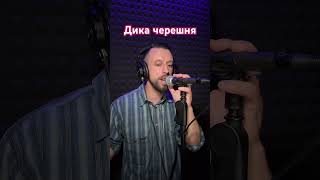 Дика Черешня - Павло Доскоч (Sergiy184) Cover