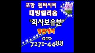 포항  펜타시티 대방엘리움 마감임박 010 7271 4488
