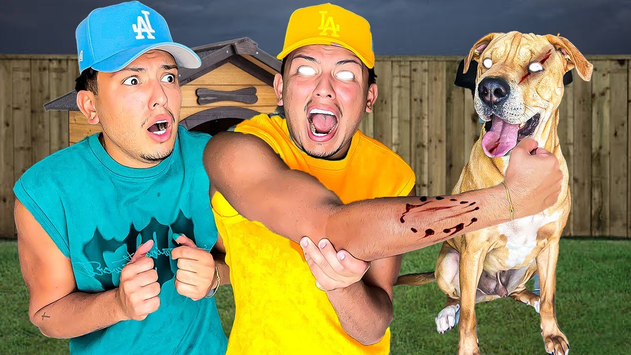 POSSESSED DOG ATTACKED My Evil Twin...