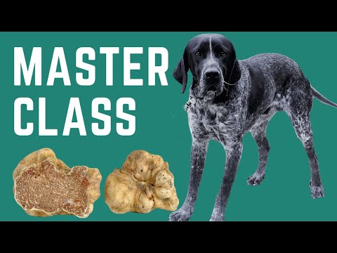 How to Train Your Dog to Hunt Truffles - Masterclass