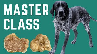 How to Train Your Dog to Hunt Truffles - Masterclass