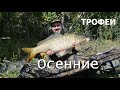 Осенние ТРОФЕИ на Оби!