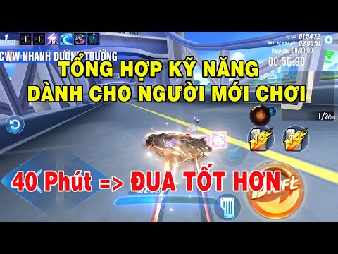 Video: Kỹ thuật huấn luyện chó và mèo đơn giản dễ như 