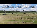 Свобода в чистом виде