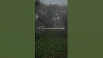 صوت حجازي عذب في تلاوة القرآن الكريم