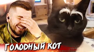 HARD PLAY СМОТРИТ HUYUTOCHKA 9 МИНУТ СМЕХА УГАРНЫЕ ПРИКОЛЫ МАРТ 2019 HARD PLAY СМОТРИТ HUYUTOCHKA 9 МИНУТ СМЕХА УГАРНЫЕ ПРИКОЛЫ МАРТ 2019