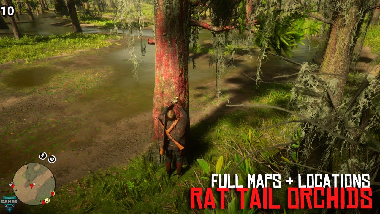 Red Dead Redemption 2 ALL 12 Rat Tail Orchids Locations Maps red-dead-redemption-2-all-12-rat-tail-orchids-locations-maps