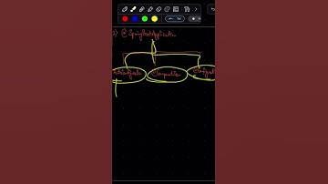 Springbootapplication annotation | java | #springboot  #java