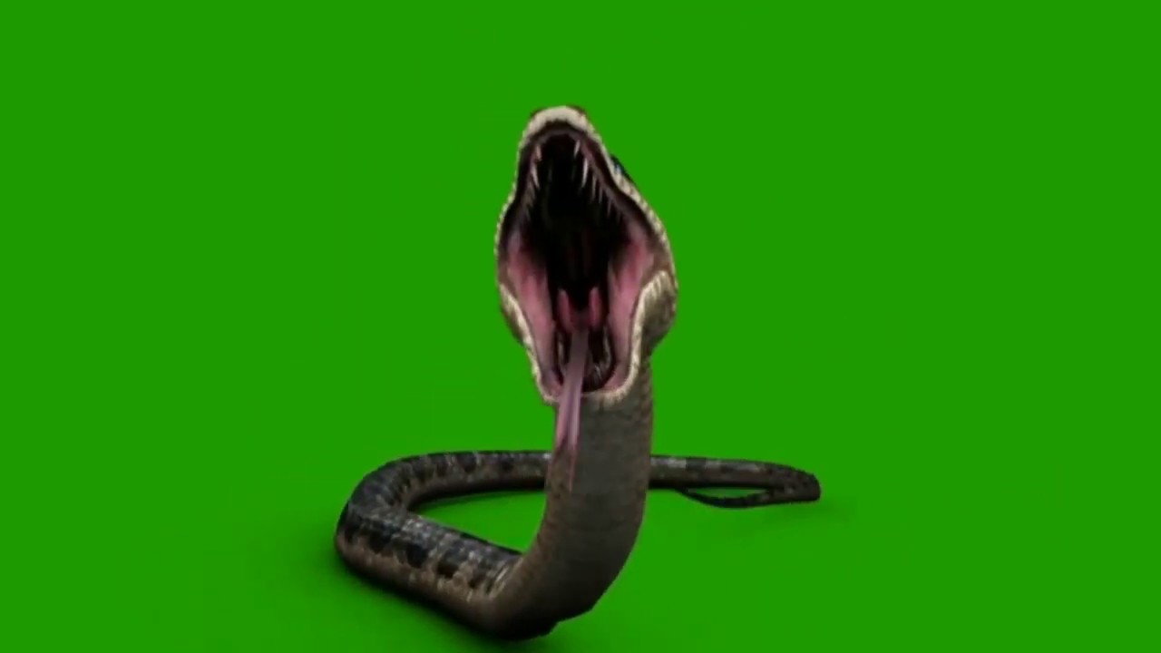 google on screen snake