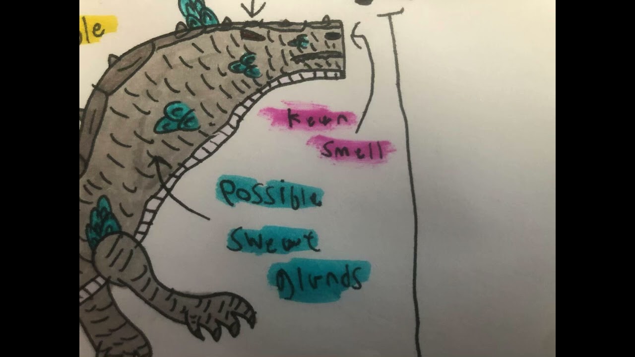 Updated raptor challenging 