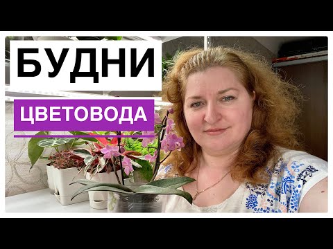 Будни цветовода | Новая орхидея | Поливаю цветы | Про флорариум | 01.05.2022г.