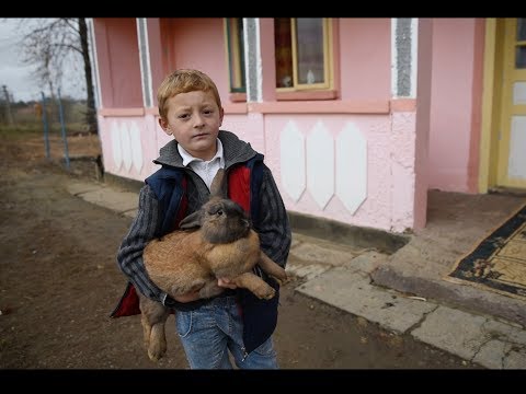 Hope and Homes for Children, Romania