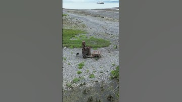 Ruins of Old Valdez (Alaskan Earthquake)