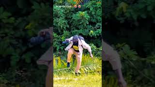 What would you do at that situation? 🤣 ||Part 2|| #chandancollection #wildlife #junglesafari #africa